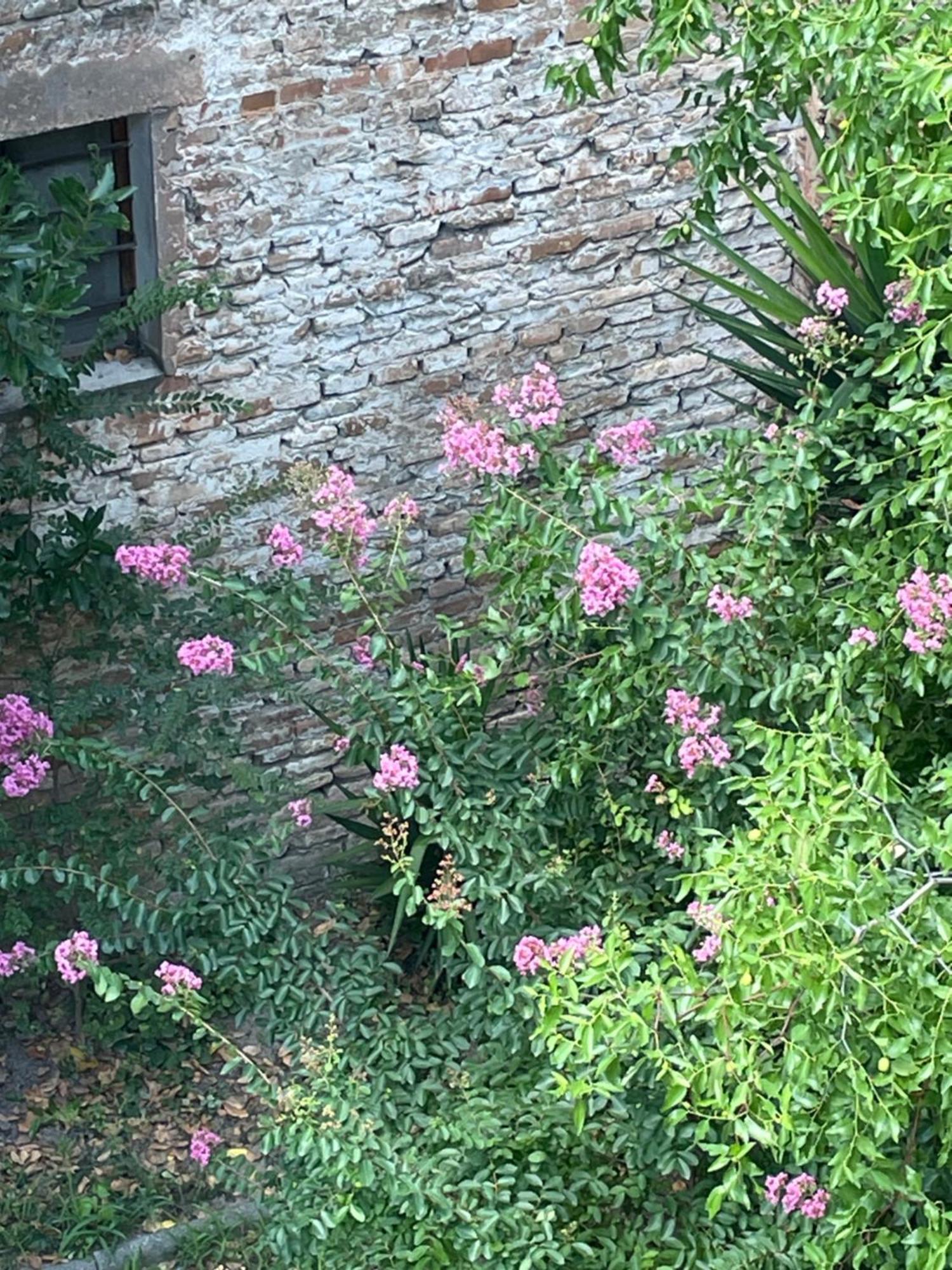 Massa Lombarda Romagna Apartments מראה חיצוני תמונה